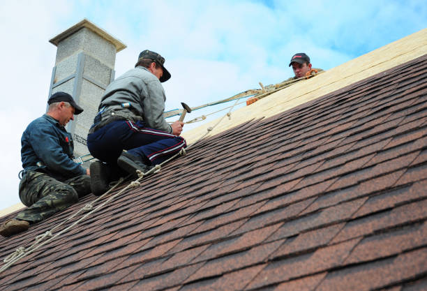 Best Storm Damage Roof Repair  in Ramtown, NJ